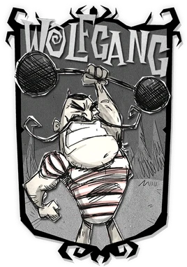 Wolfgang DST