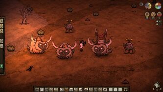 Beefalo Tendencies-0