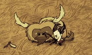 Wilson shaving a Beefalo put to sleep using the Pan Flute.