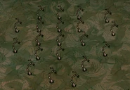 Nettle Vines that are planted in wrong turfs (won't bloom)