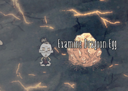 Wickerbottom next to a Dragoon egg which fell from the sky atop the volcano .