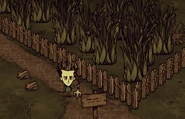 Fence Ingame.png (750 KB) Wilson standing next to a Wood Fence.