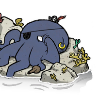 Yaarctopus Don T Starve Wiki Fandom