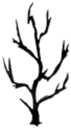 The Screecher Sapling Burnt.png (152 KB) unused burnt sapling