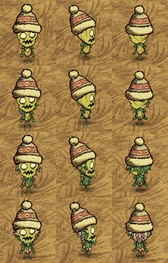 Wormwoodが着用