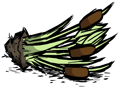 Dug Up Reeds.png (43 KB)