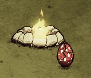 Hatching Tallbird Egg too close to fire during day