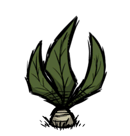 picture Mandrake Don T Starve mandrake don t starve wiki fandom