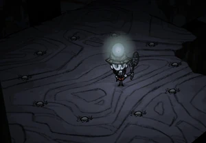 洞窟で発生したフェアリーリング