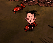 Flopping Bird.png (65 KB) Two flopping Redbirds.