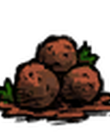 肉丸子 Don T Starve 中文維基 Fandom 肉丸子 Don T Starve 中文維基 Fandom