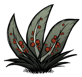 Leafy