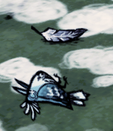 Dead Snowbird.png (55 KB) A dead Snowbird.