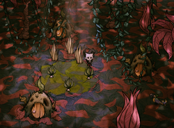 Mandrake Hill Don T Starve Wiki Fandom Mandrake Hill Don T Starve Wiki Fandom