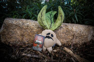A Mandrake plush.
