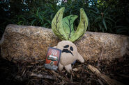 A Mandrake plush.