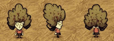 Bush Hat Willow