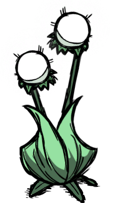 dont starve wiki cave flower