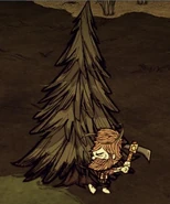 PickAxe chop.jpg (28 kB) Woodie talando un árbol usando un Pico/hacha.