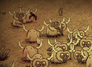 A Pig wearing a Beefalo Hat is also safe from getting attacked.