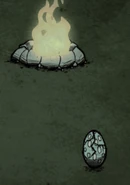 Hatching Tallbird Egg too far from fire during night