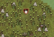 Jungle Turf as seen on the Map.