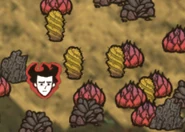 Ashy Turf Map.png (97キロバイト) Ashy Turf as seen on the map.