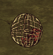 Redbird Trap.png (78 KB) A trapped Redbird.