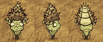 Wurt wearing a Cookie Cutter Cap.