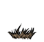 Grass Tuft Withered