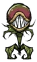 Level 1 Snaptooth Seedling.png