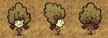 Wigfrid wearing a Bush Hat.