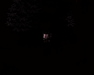 Forest turf at dusk with 0 Sanity. There are nine Crawling Horrors, but they are impossible to see.