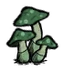 Green Mushroom
