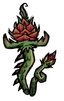 Dragon Fruit Vine