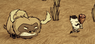 Angry Beefalo
