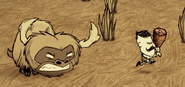 Beefalo enfurecido persiguiendo a Wolfgang