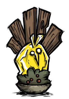 Year of the Gobbler