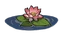 Lotus Plant