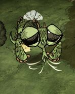 Mosca Dragón inhalando cenizas.