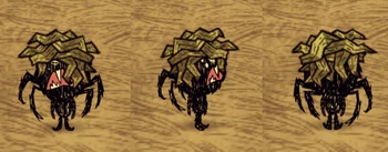 Webber wearing a Seawreath.