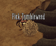 Tumbleweed prompt