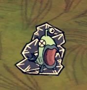 被冻住的沼泽鱼