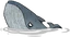 Blue Whale