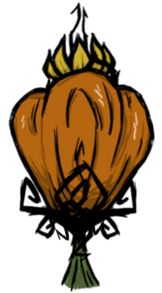 Pumpkin Plant.png