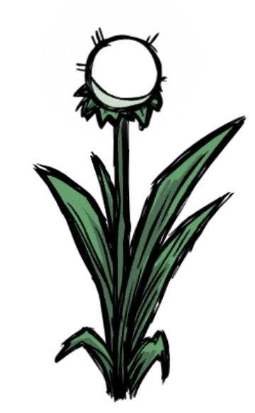 discover plants Backpack Explorer: Discovering Plants and Flowers: What Will You Find?