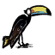 Toucan.png