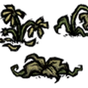 Flower Don T Starve 攻略 Wiki Fandom Flower Don T Starve 攻略 Wiki Fandom
