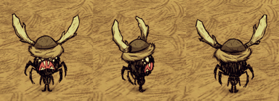 Beefalo Hat Webber