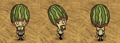 Fashion Melon Warly